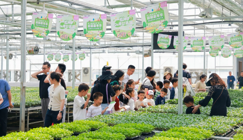 Xiejing’an Transfar Agricultural Innovation Village-Hangzhou
